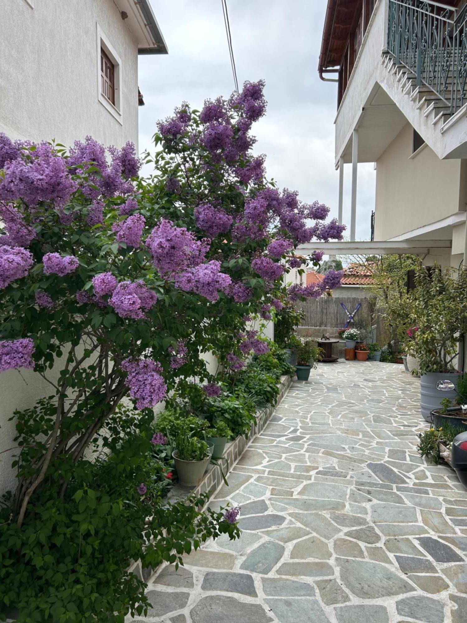 Guesthouse Doma Est 1991 Arachova Dış mekan fotoğraf